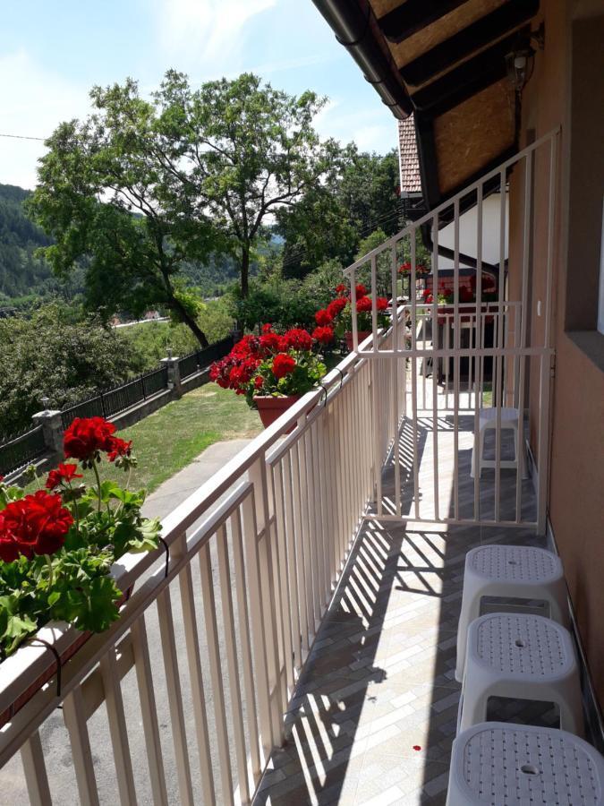 Apartmani Maksimovic Мокра гора Екстериор снимка